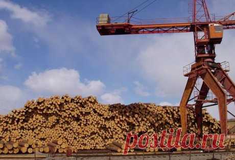 Продаем лес кругояк сосна 
г.Ревда 
от 18-60см.
обьем; 4000 куб
Возможна доставка своим лесовозом.34 куб
погрузка на ваш.
Цена; 2750 руб.куб.
наличный расчет,предоплата .
выборка 22.24.26.30.
https://special-service.info/
frizen196910@mail.ru
89045471839