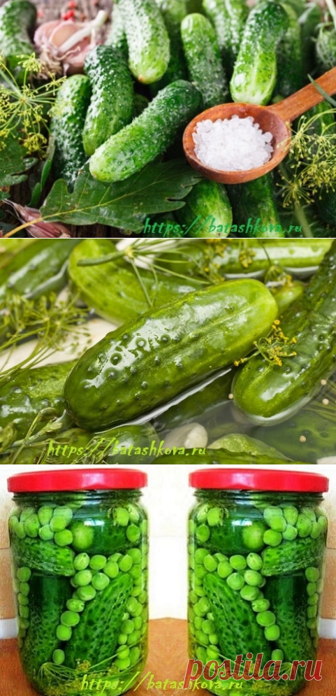 Рецепты огурцов на зиму - самые вкусные заготовки.