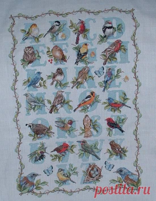birds alphabet. Вышивка: алфавит, календари, метрики. Общий фотоальбом
