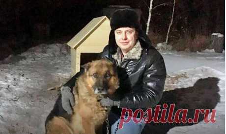 Бездомного пса хотели стерилизовать, как вдруг врач понял... - В мире животных