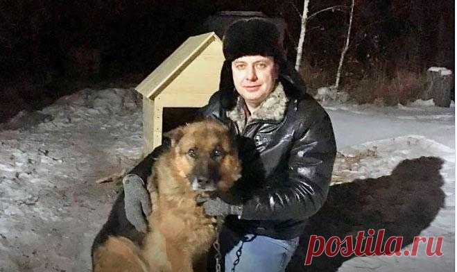 Бездомного пса хотели стерилизовать, как вдруг врач понял... - В мире животных