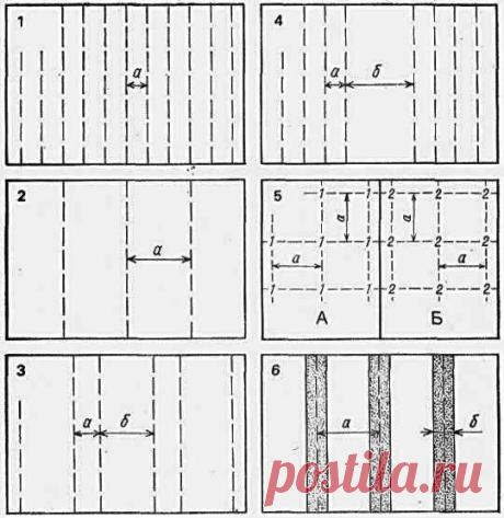 Основные схемы посева и посадки овощей | Дача - впрок