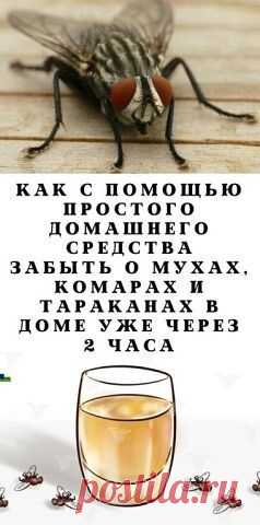 ИНГРИДИЕНТЫ:

½ стакана растительного масла;

½ чашки любого шампуня;

½ стакана уксуса.

ЧТО НУЖНО СДЕЛАТЬ?
Хорошо смешайте ингредиенты в бутылке с распылителем, а затем распылите средство на различные поверхности в вашем доме.

Смесь нетоксична и безопасна для использования, если в доме есть дети и домашние животные и очень эффективна против любых вредителей.

Распылите средство по всему дому, и всего за час-два вы заметите первых мертвых насекомых!