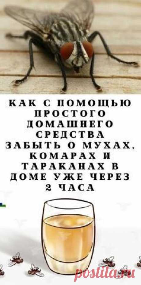 ИНГРИДИЕНТЫ:

½ стакана растительного масла;

½ чашки любого шампуня;

½ стакана уксуса.

ЧТО НУЖНО СДЕЛАТЬ?
Хорошо смешайте ингредиенты в бутылке с распылителем, а затем распылите средство на различные поверхности в вашем доме.

Смесь нетоксична и безопасна для использования, если в доме есть дети и домашние животные и очень эффективна против любых вредителей.

Распылите средство по всему дому, и всего за час-два вы заметите первых мертвых насекомых!