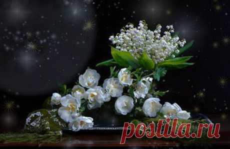 Google+