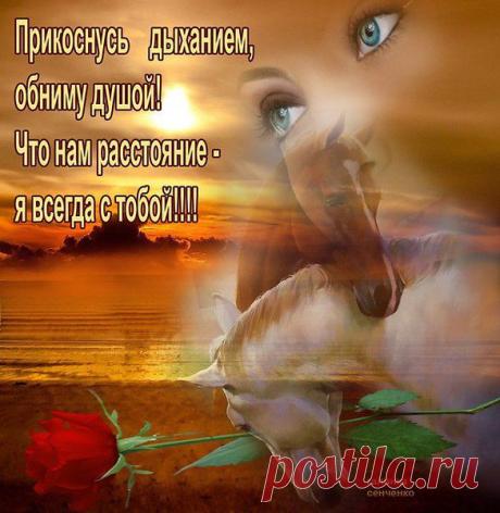Lida: Если Бог хочет сделать тебя счастливым, то он ведёт тебя самой трудной дорогой, потому что лёгких путей к счастью не бывает.