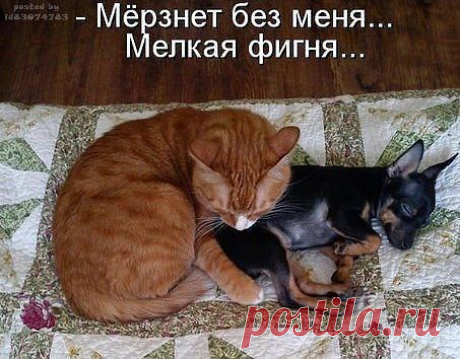 Интересные новости