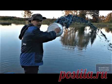 Рабочий способ профилактики рыбы от &quot;краснухи&quot; - YouTube
