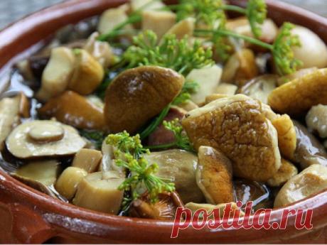 Маринованные грибы — Sloosh – кулинарные рецепты