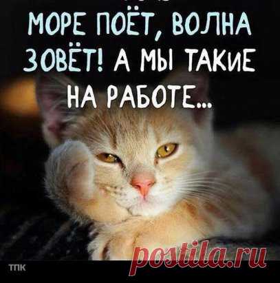 image (407×411)