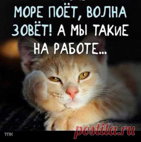 image (407×411)