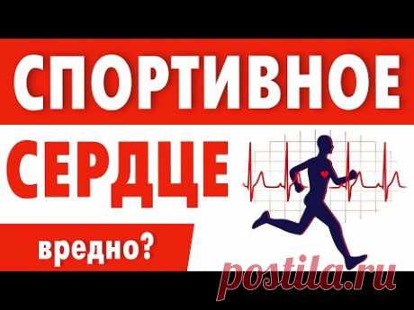 Тренировка сердца. Кардио нагрузки нужны или нет