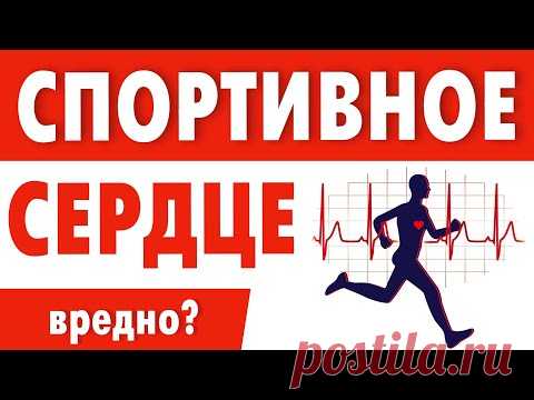 Тренировка сердца. Кардио нагрузки нужны или нет