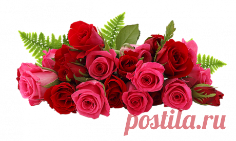 песок морской на прозрачном фоне - Поиск в Google