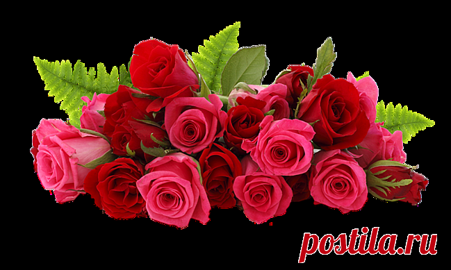 песок морской на прозрачном фоне - Поиск в Google