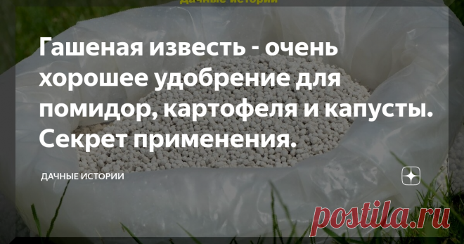 Гашеная известь - очень хорошее удобрение для помидор, картофеля и капусты. Секрет применения.