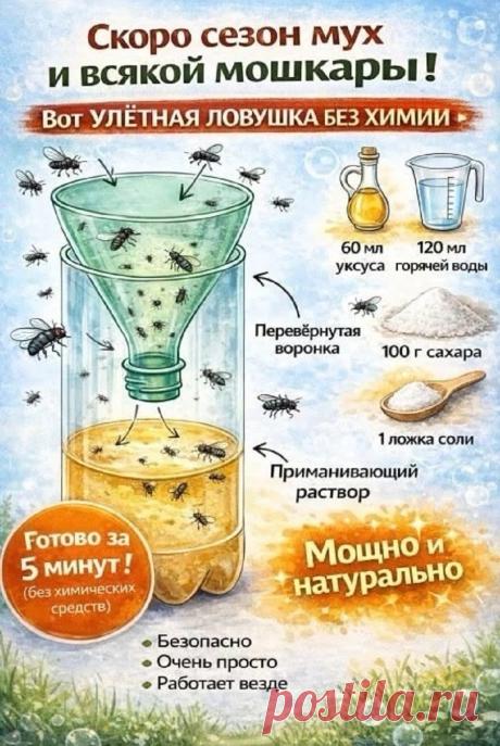 Ловушка для мух и мошкары