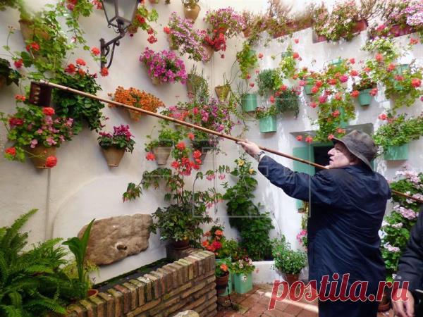 patios cordobeses interiores bonitos - Buscar con Google