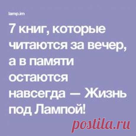 7 книг, которые читаются за вечер, а в памяти остаются навсегда — Жизнь под Лампой!