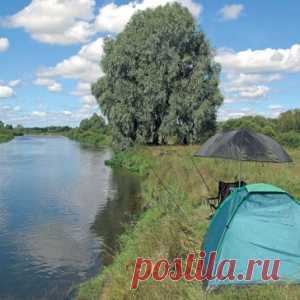 Правило пяти поклевок, или О метафизике в фидере - МирТесен