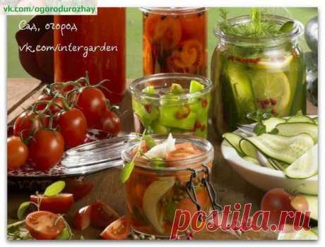 Подборка вкусных заготовок

*Помидоры «Пальчики оближешь!»
*Ароматная цветная капуста
*Греческая закуска
Показать полностью…