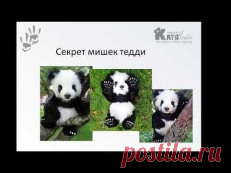 Азы создания тедди зверят. Урок 3 | Школа тедди зверят Екатерины Лейт