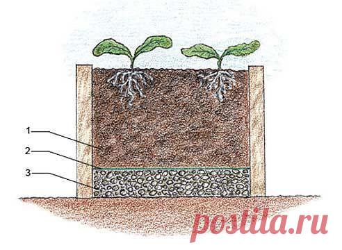 Одноклассники
