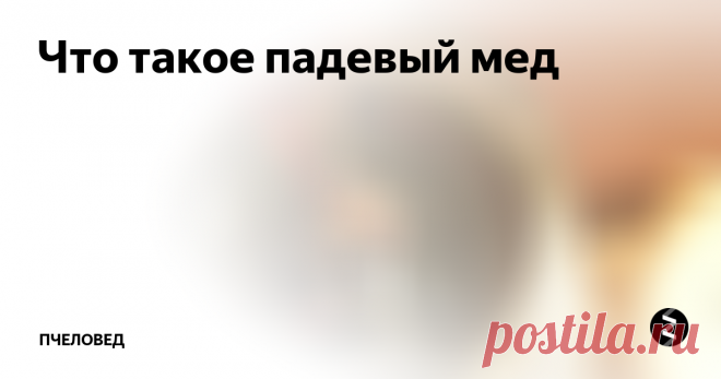 Что такое падевый мед Люди часто задают вопрос что такое 
