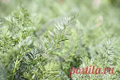 Stock Photos, Royalty-Free Images & Video Footage By Dreamstime Stock Photography