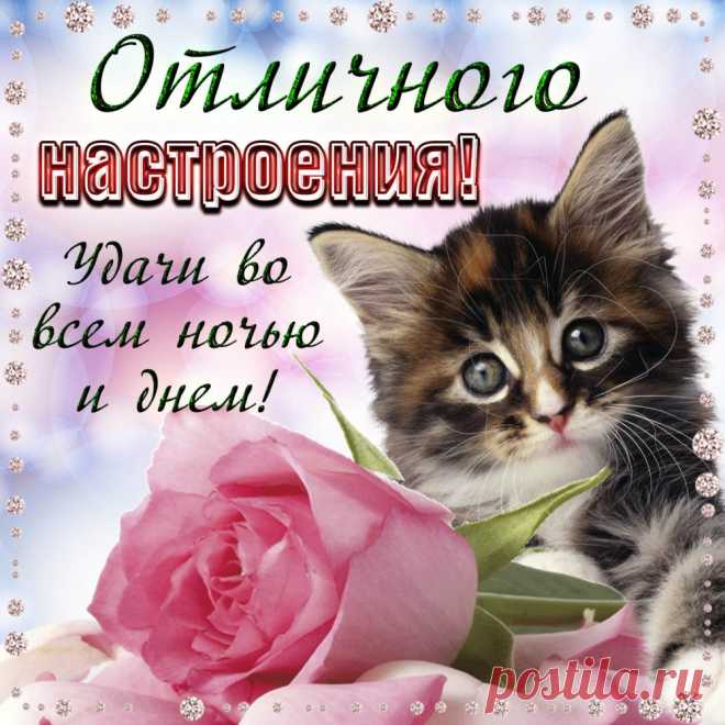 Желаю солнечных деньков,
И настроения отличного,
Пусть держит за руку любовь
И счастье будет в жизни личной.