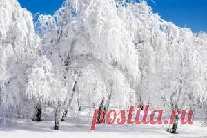 Прямой эфир - обои на рабочий стол, которые смотрят и ищут сегодня