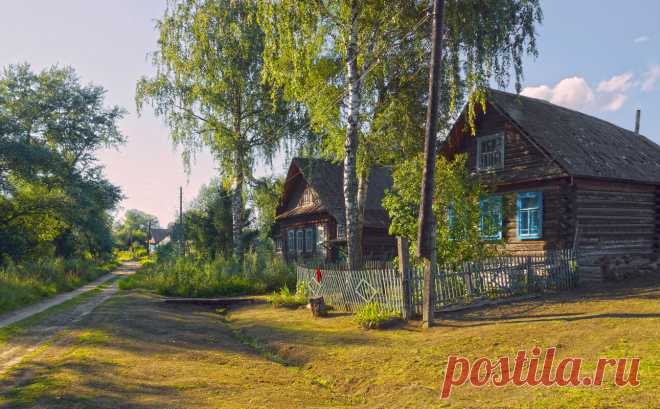 Деревья подскажут: когда сажать в огороде и щука будет клевать… Старинные поверья. | Идеи для дома и окружения | Яндекс Дзен
