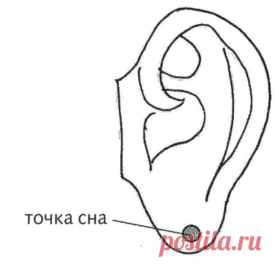Точка сна на ушах для того, чтобы быстро заснуть - мне ничего больше не нужно. Расскажу, как использую и где находится | health & beauty | Яндекс Дзен