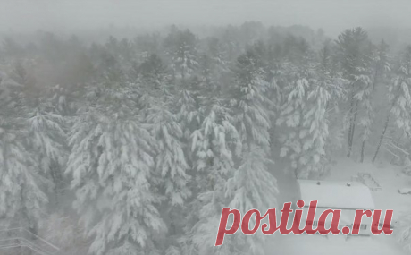 Ждете весны? В Америке тоже ее ждут! Tолько в штате Нью-Гэмпшир на протяжении 10 мартовских дней бушевали три снежные бури подряд. Местный житель снял затяжной снегопад с дрона.