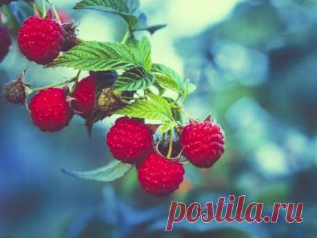 Нумерологический гороскоп на июль 2015 года