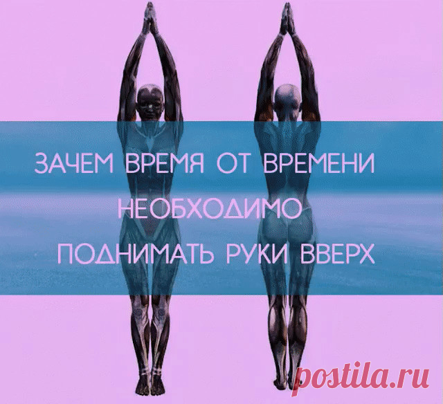 Узнайте зачем время от времени НЕОБХОДИМО поднимать руки вверх
4 полезные причины поднимать руки вверх

Естественное положение рук человека — опущенные вниз. Но, как утверждают физиотерапевты, очень полезно в течение дня поднимать их вверх.

Во-первых, при поднятых руках желудочно-кишечный тракт становится менее извилистым, что способствует быстрому прохождению пищи. Таким образом происходит профилактика процессов гниения и брожения, развития дисбактериоза.