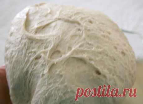 Sponge. Levain. Biga. Крутые опары для теста .