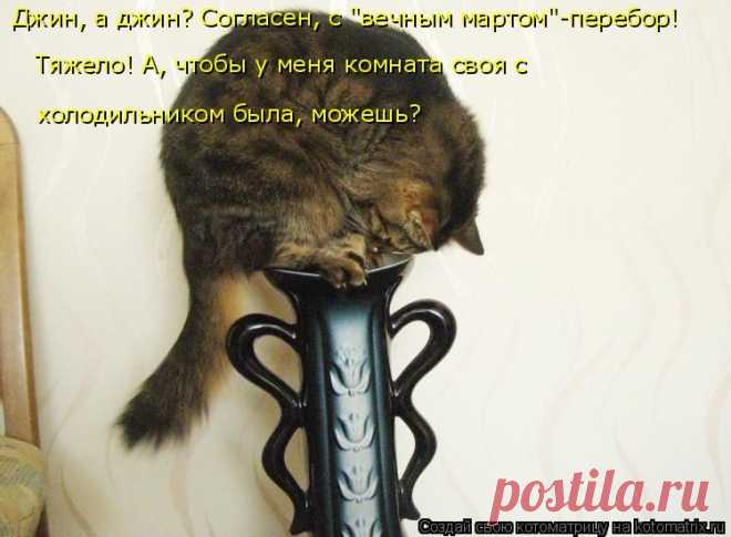 Котоматрица: Круть