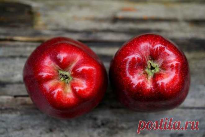 Испанские диетологи рекомендуют 10 суперпродуктов для людей старше 50 лет Хотите оставаться в отличной форме дольше? Значит, вам нужно включить эти 10 суперпродуктов в ваш рацион. Недавние исследования ученых Барселонского университета позволили составить перечень тех проду...