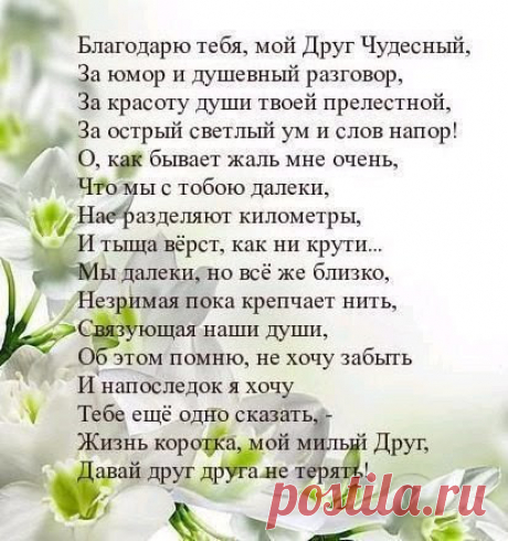 Другу