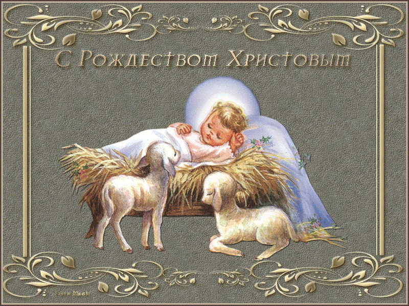 Мои поздравления со светлым праздником Рождества!