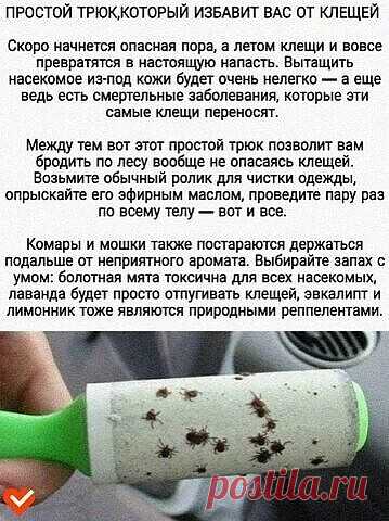 На заметку!