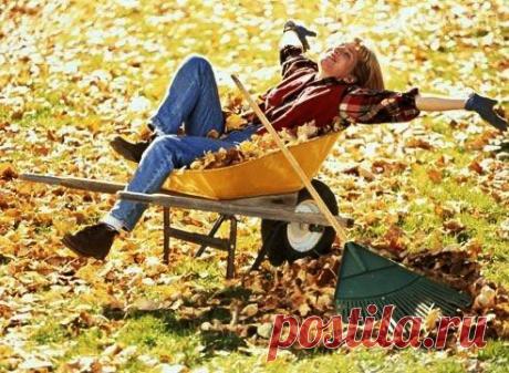 Осенние работы на даче: готовим сад и огород к зиме Календарь осенних работ