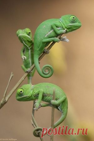 stunning photography Search on Indulgy.com