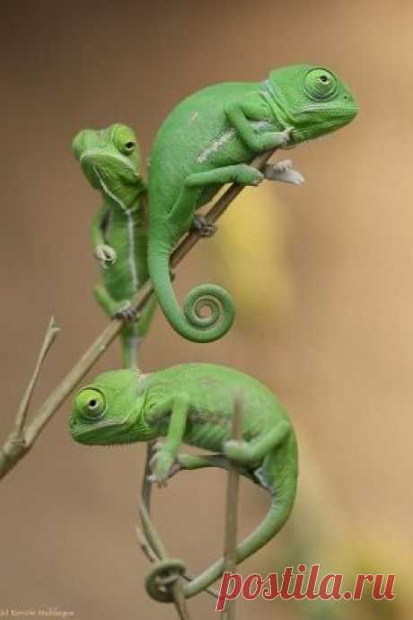 stunning photography Search on Indulgy.com