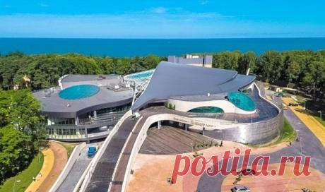 Концерты в Янтарь-холле