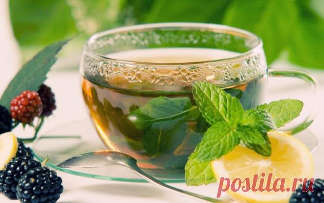 Польза зеленого чая | ДОМАШНИЙ ОЧАГ