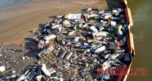 Изобретение подростка должно изменить судьбу Мирового океана. Результат тебя удивит!