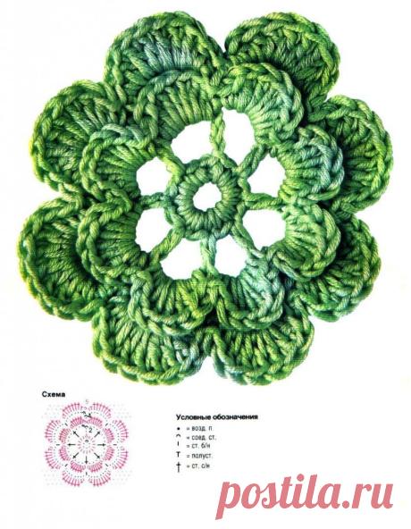 #flower_decor