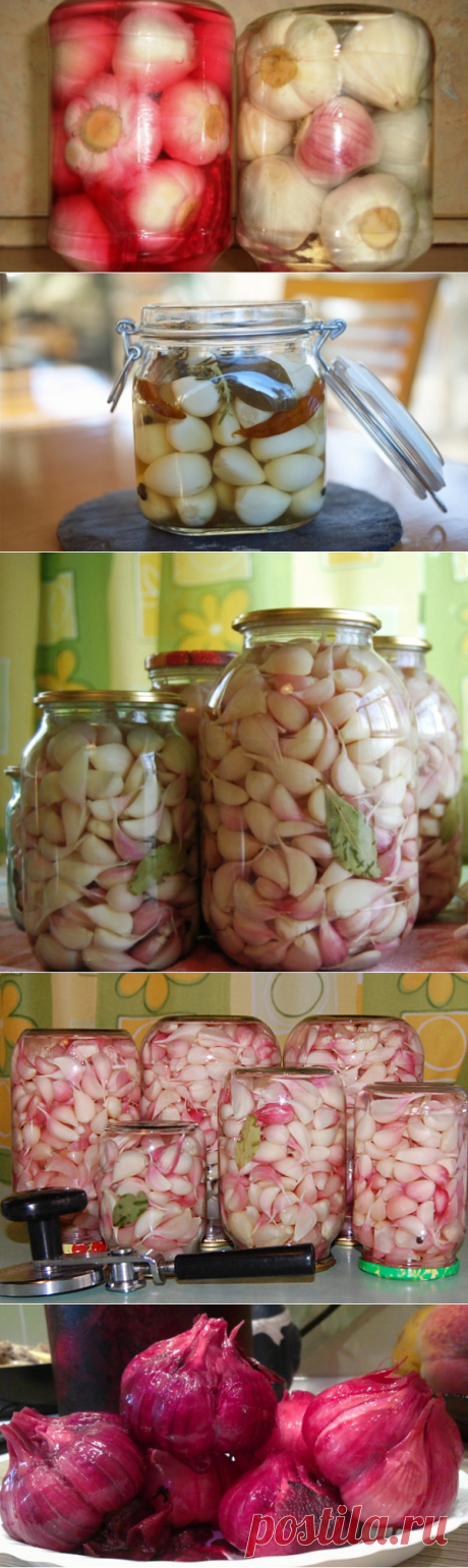 Маринованный чеснок (Шесть рецептов)